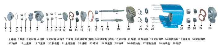 LQ系列衛(wèi)生級(jí)凸輪轉(zhuǎn)子泵轉(zhuǎn)子的形式 LQ系列衛(wèi)生級(jí)凸輪轉(zhuǎn)子泵轉(zhuǎn)子的形式