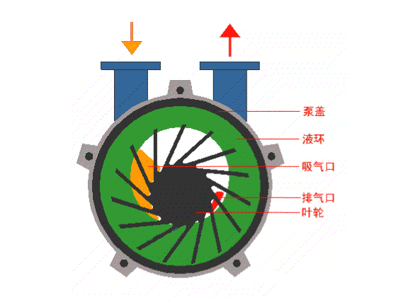 水環(huán)式真空泵的工作原理結(jié)構(gòu)圖 水環(huán)式真空泵的工作原理結(jié)構(gòu)圖